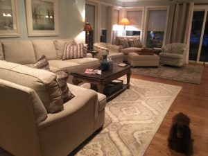 residential upholstery cleaning